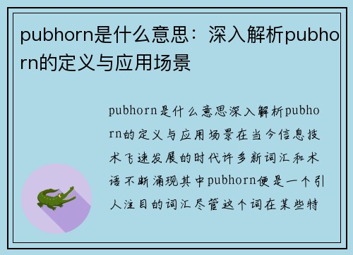 pubhorn是什么意思：深入解析pubhorn的定义与应用场景